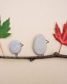 Personal Pet Rocks (Family Edition) – Outdoor Series
